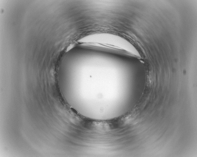 X0000088610520200706221434