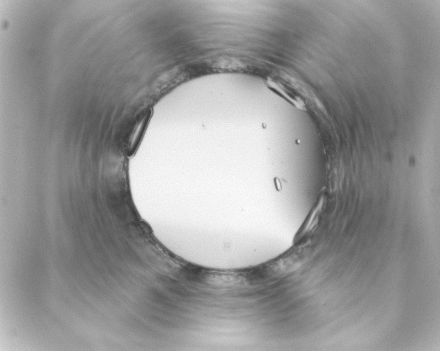 X0000088610521200706221434