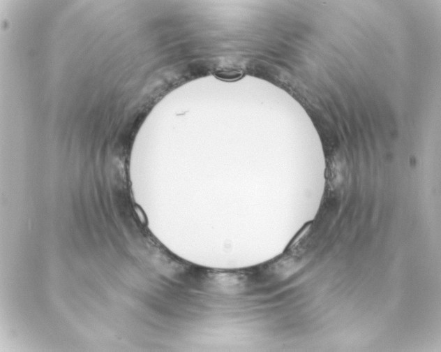 X0000088610522200706221434