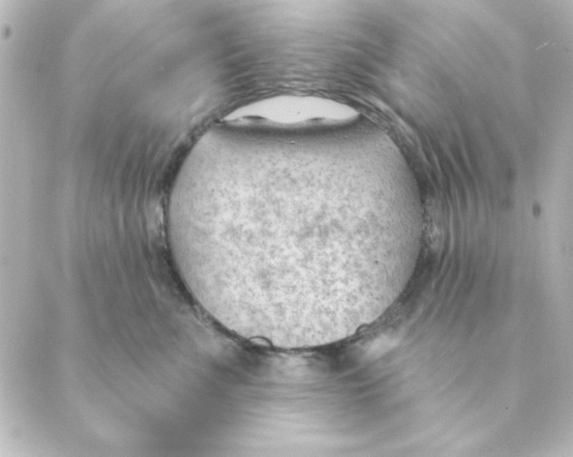 X0000088610523200706221434