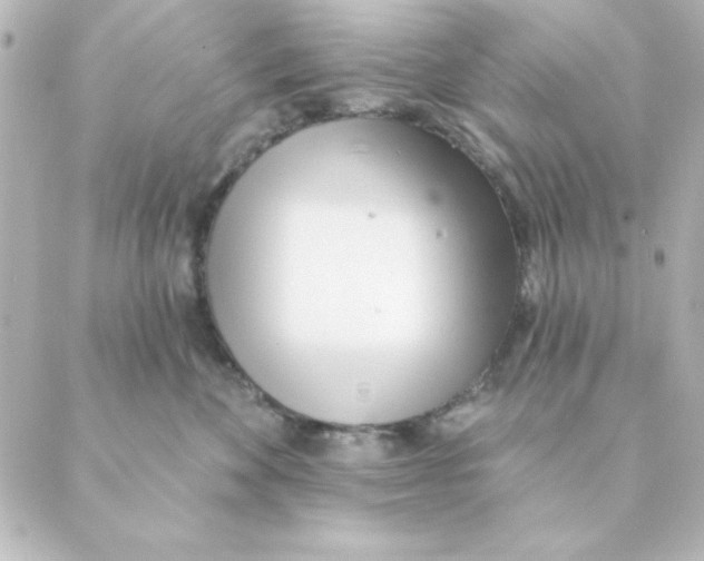 X0000088610524200706221434