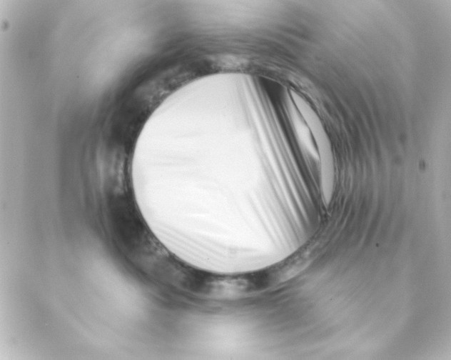 X0000088610525200706221434