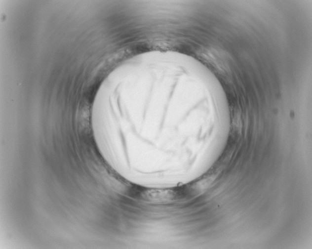 X0000088610526200706221434