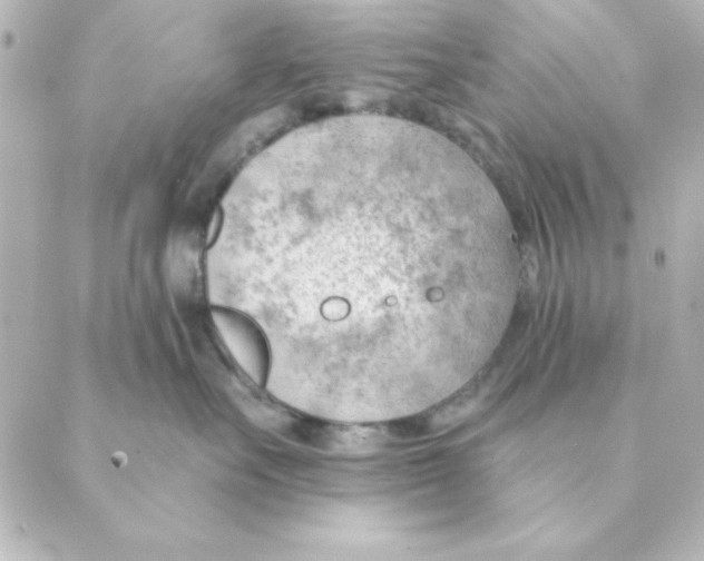 X0000088610527200706221434