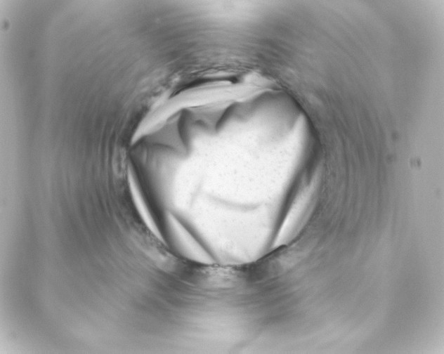 X0000088610528200706221434