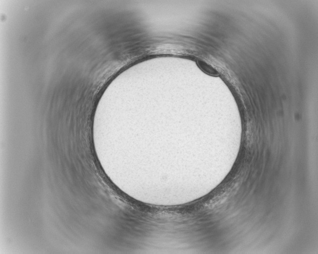 X0000088610529200706221433