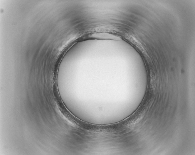 X0000088610530200706221433