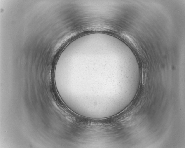 X0000088610531200706221433