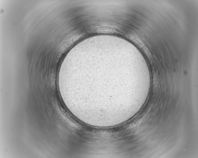 X0000088610533200706221433