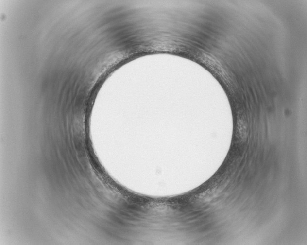 X0000088610534200706221433