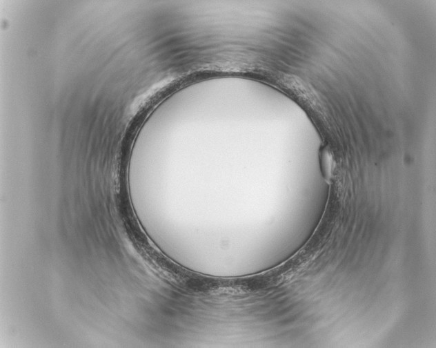 X0000088610536200706221433