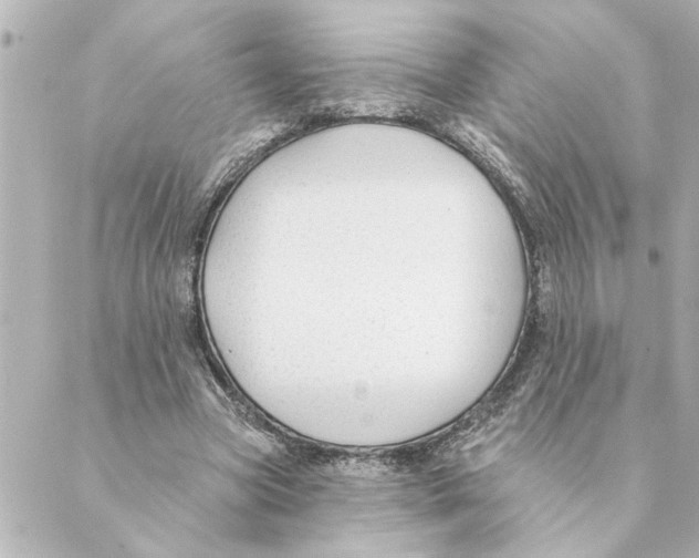 X0000088610537200706221433