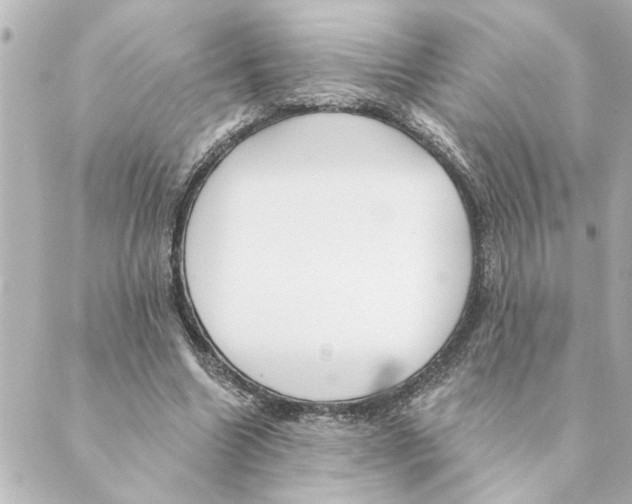 X0000088610538200706221433