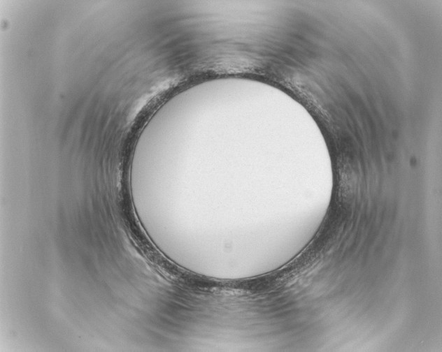 X0000088610539200706221433