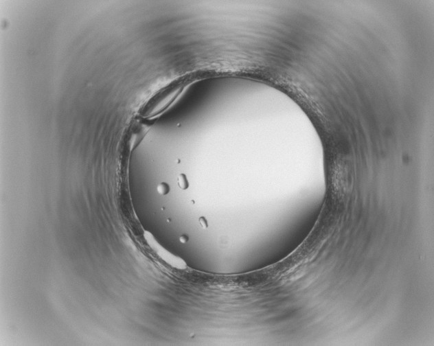 X0000088610540200706221433