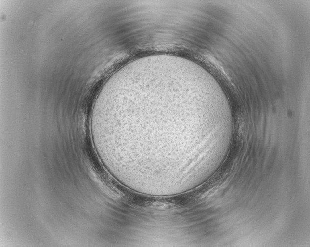 X0000088610542200706221433