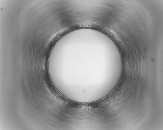 X0000088610543200706221433