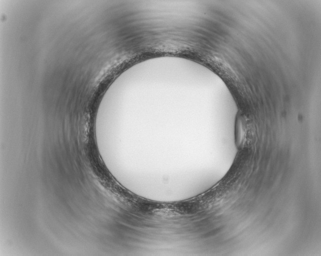 X0000088610544200706221433