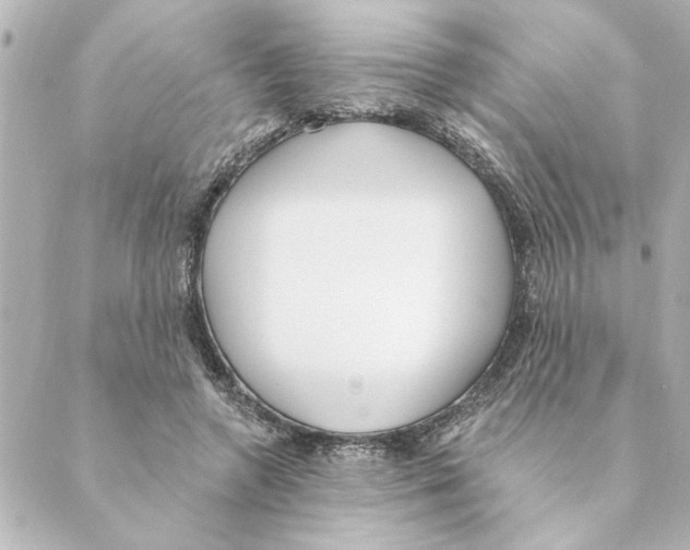 X0000088610546200706221433