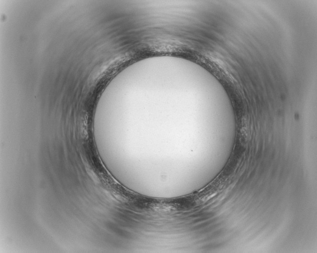 X0000088610547200706221433