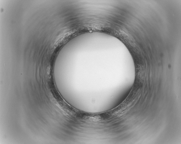 X0000088610548200706221433