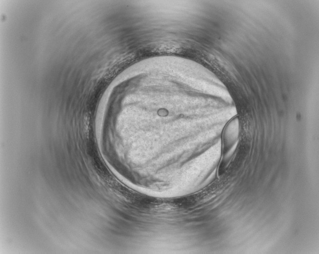 X0000088610551200706221433