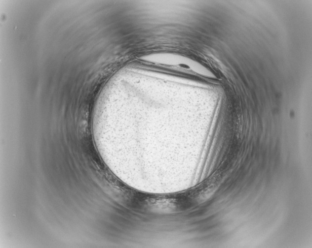 X0000088610553200706221433