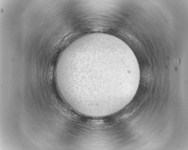 X0000088610554200706221433