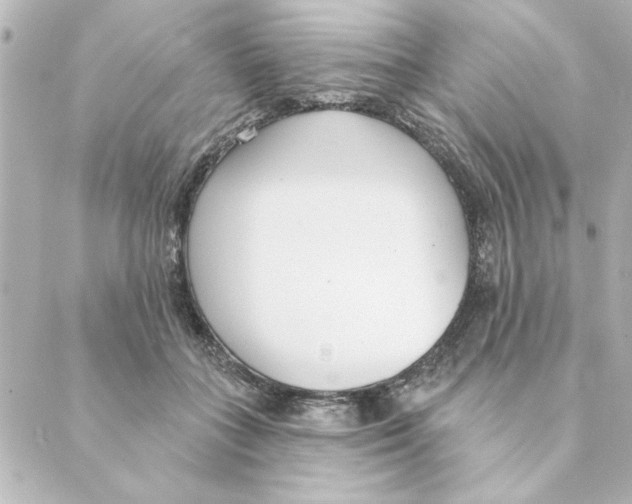 X0000088610555200706221433