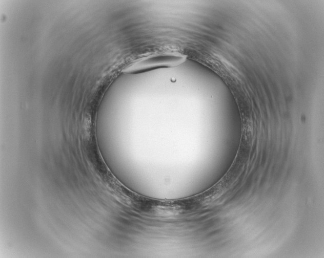 X0000088610556200706221433