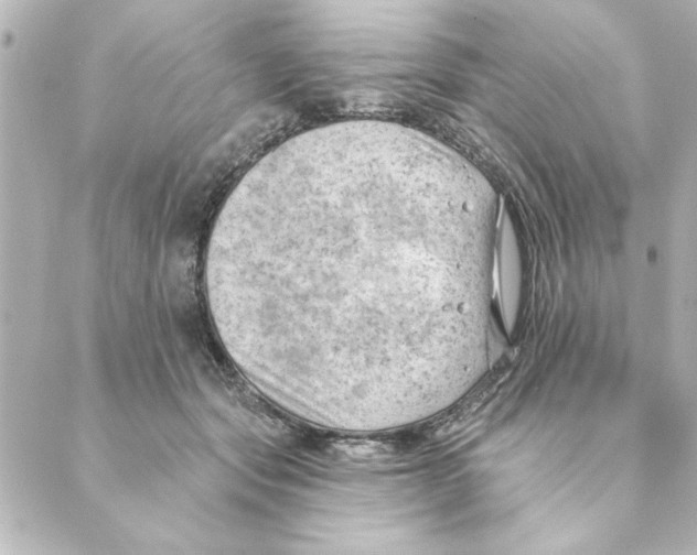 X0000088610557200706221433