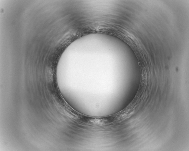 X0000088610558200706221433