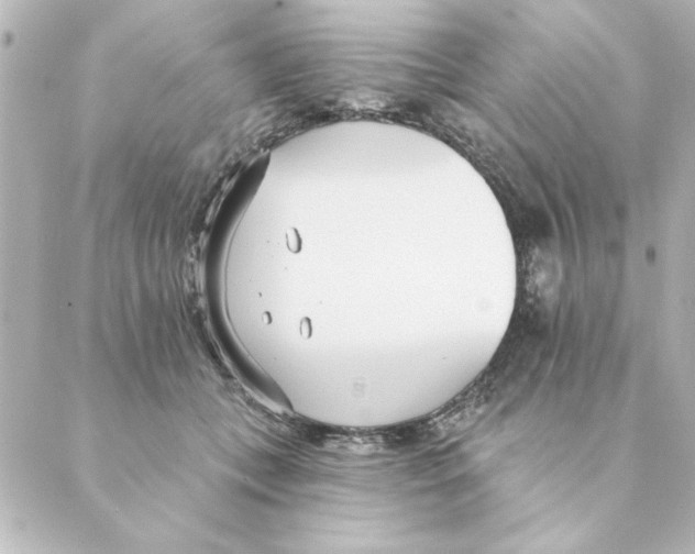 X0000088610559200706221433