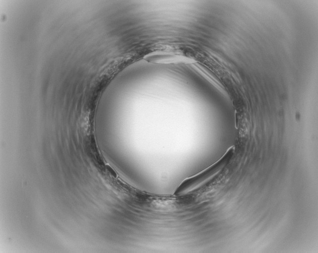 X0000088610560200706221433