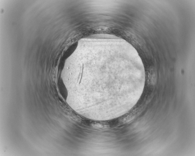 X0000088610561200706221433