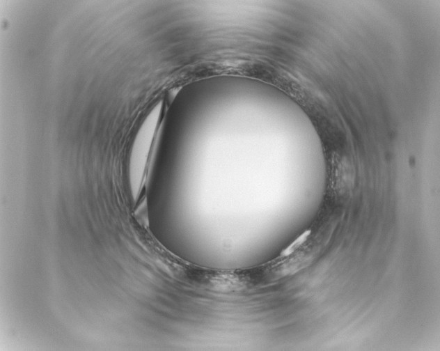 X0000088610562200706221433