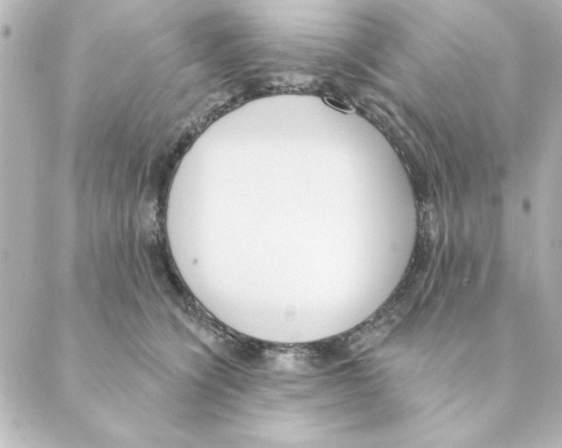 X0000088610564200706221433