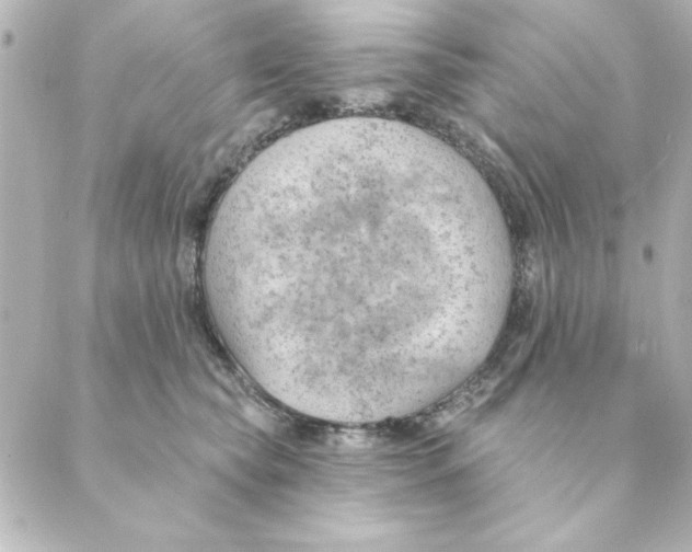 X0000088610565200706221433