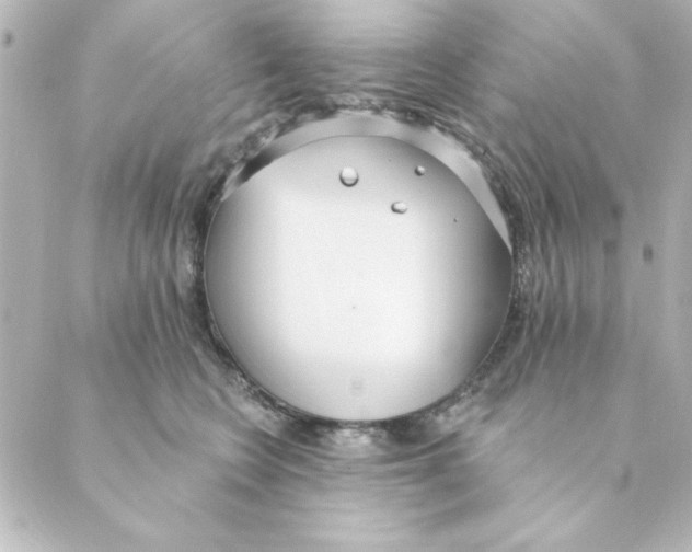 X0000088610566200706221433