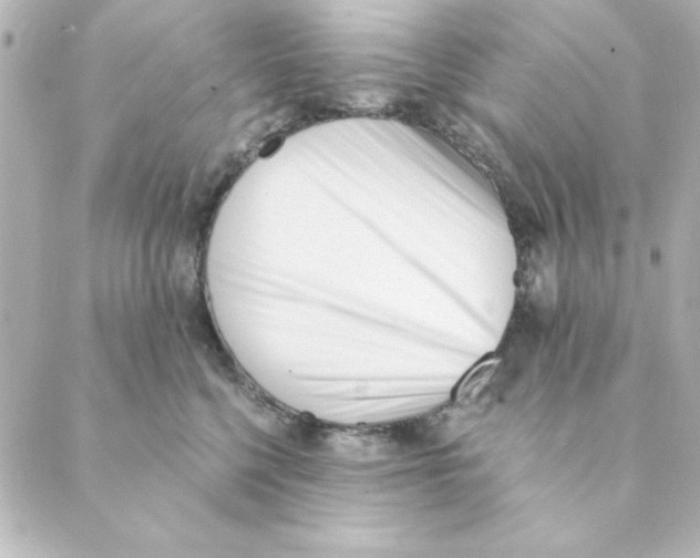 X0000088610568200706221433