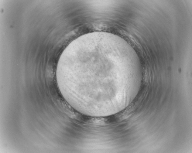 X0000088610569200706221433