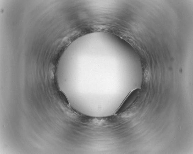 X0000088610570200706221433