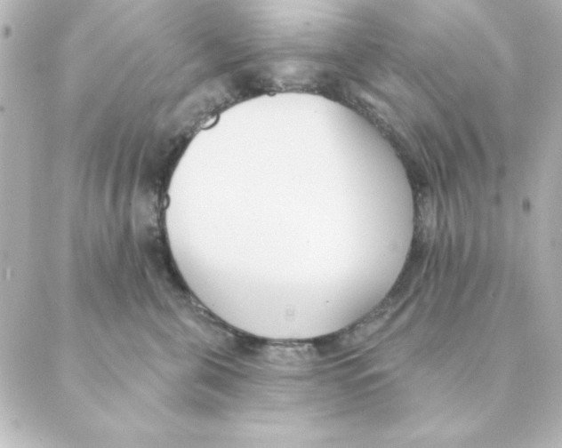 X0000088610571200706221433