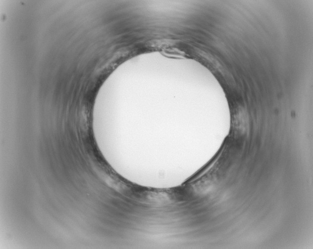 X0000088610572200706221433