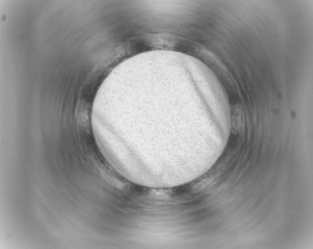 X0000088610573200706221433