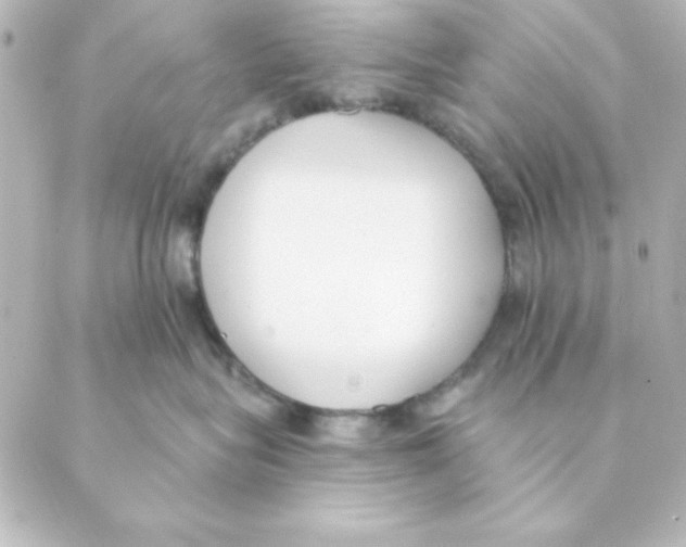 X0000088610575200706221433