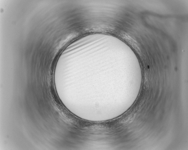 X0000088610578200706221433