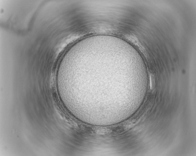 X0000088610579200706221433