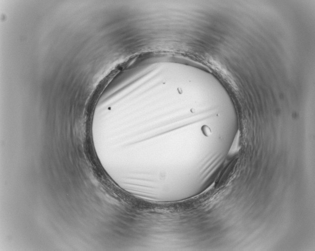 X0000088610580200706221433