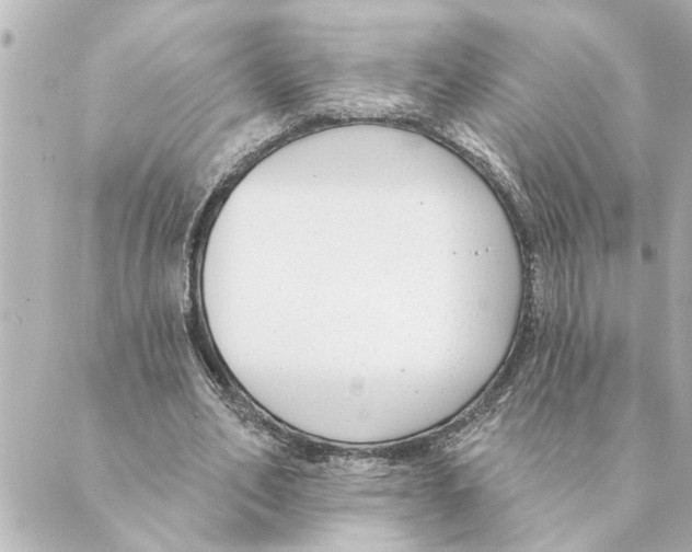 X0000088610582200706221433